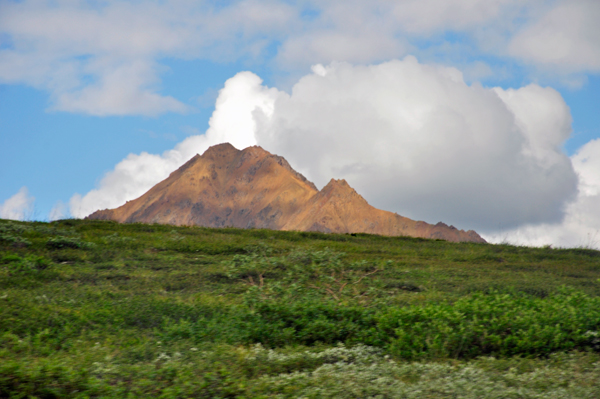 a mountain in Denali National Park
